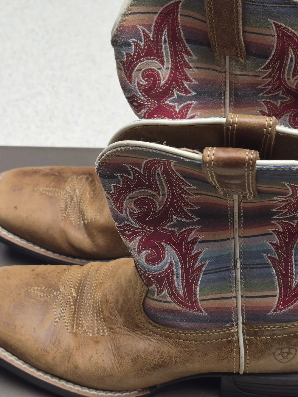 Ariat kids western